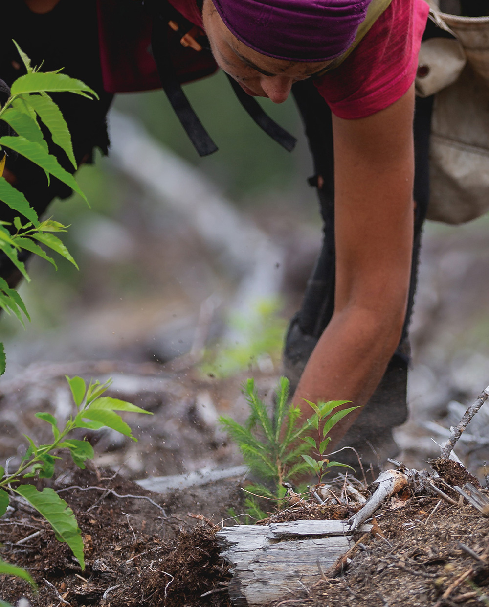 Our Sustainability Approach